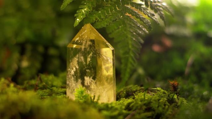 苔藓上的水晶
