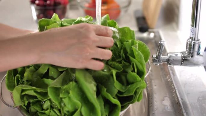 女人在厨房的漏勺中洗手绿叶蔬菜的特写镜头