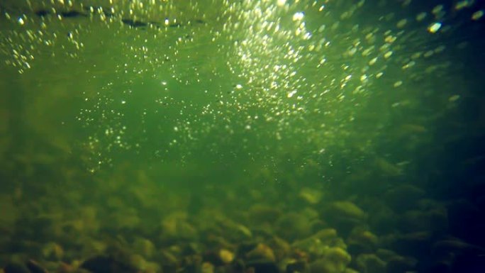 水下风景。绿色的水和气泡