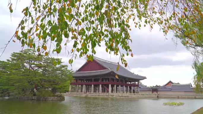 韩国秋季的景福宫河流杨柳阴天