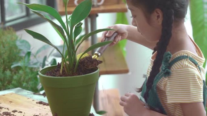 小女孩盆栽花植树节小朋友种植小绿苗