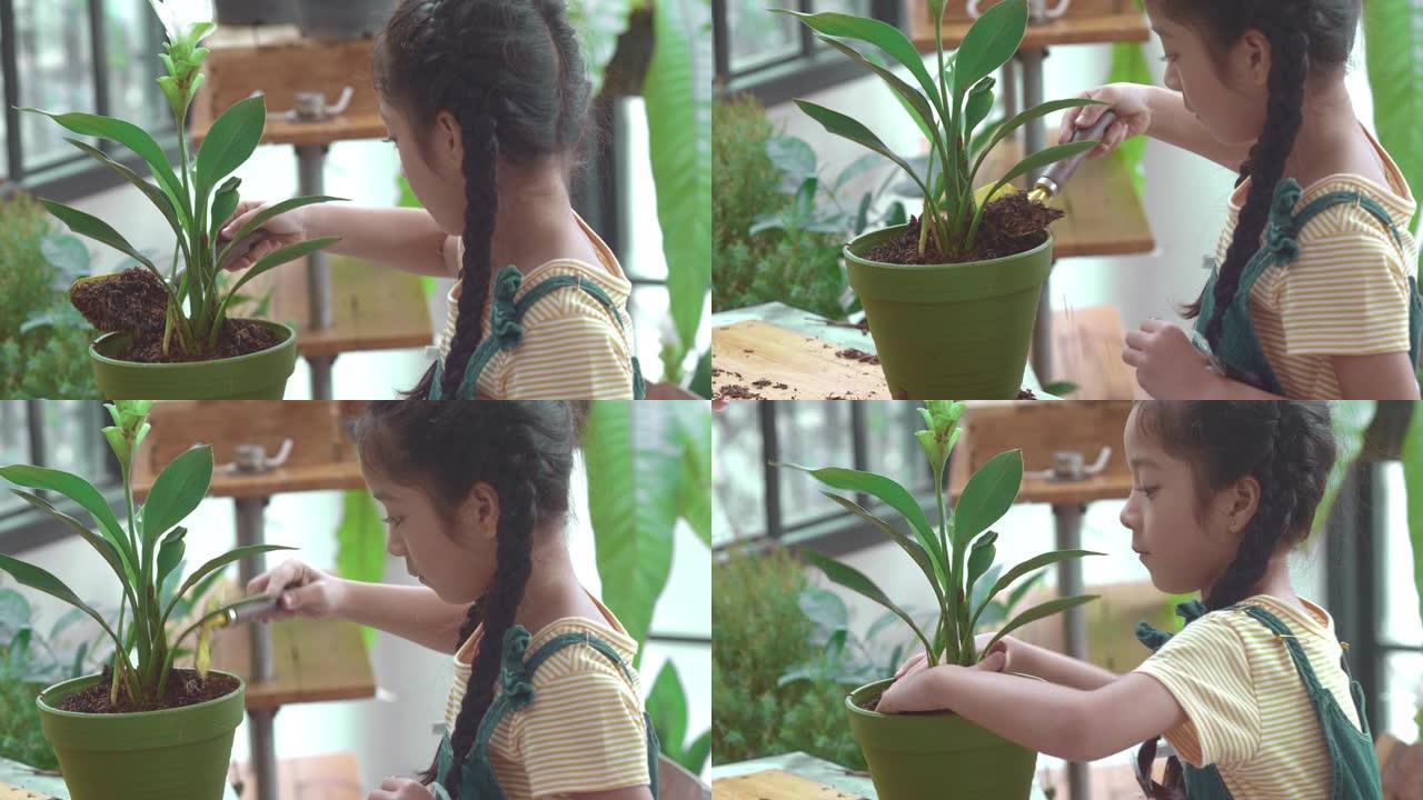 小女孩盆栽花植树节小朋友种植小绿苗