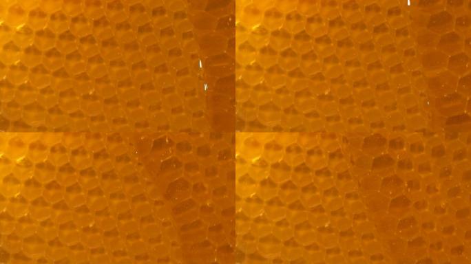 蜂窝状上流动的蜂蜜的慢动作