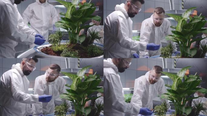 两位科学家正在研究火星花园的土壤