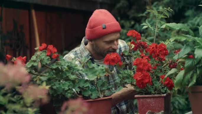 男人在花园里种花盆栽园艺工