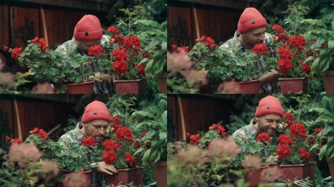 男人在花园里种花盆栽园艺工