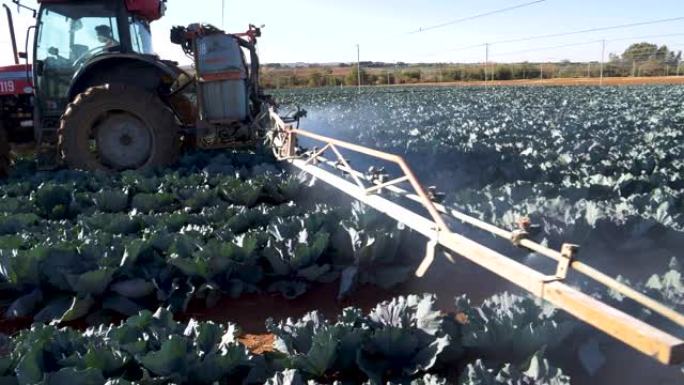 大型蔬菜农场上的拖拉机向农作物喷洒农药的特写镜头