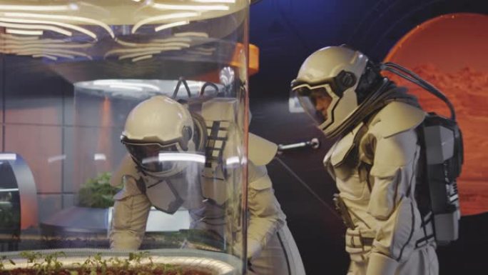 宇航员检查植物培养箱