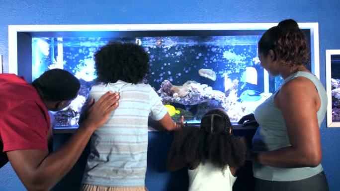 家庭，两个孩子在水族馆观察鱼缸