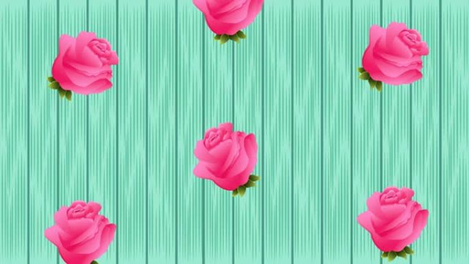 美丽玫瑰花卉花园图案动画