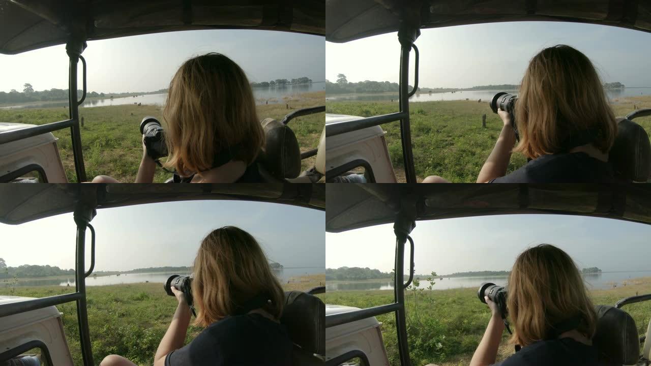 女士用数码相机拍摄斯里兰卡野生动物的野生动物
