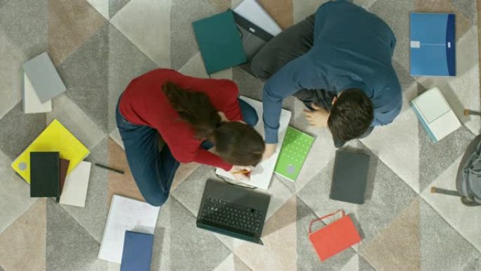 夫妇坐在地板上，在笔记本电脑上工作或学习。写在笔记本上。舒适的客厅，配有现代室内地毯、沙发、椅子、桌