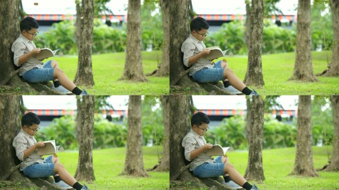 小男孩在一个阳光明媚的日子坐在树下，读一本书，树叶从树上慢慢落下。