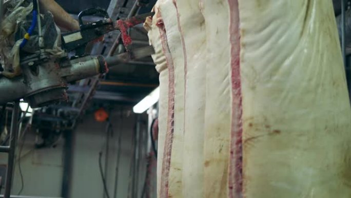 肉被用机械锯切割