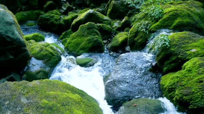 溪流落在岩石上溪流落在岩石上青苔