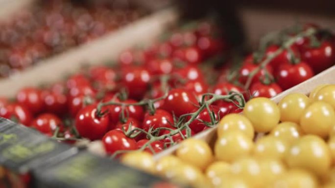 DS盒樱桃番茄准备在农贸市场出售