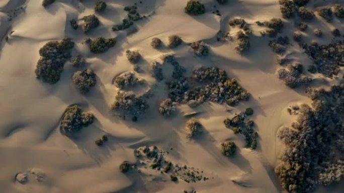 沙漠沙丘图案。鸟瞰图