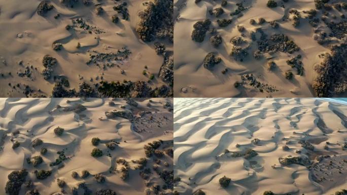沙漠沙丘图案。鸟瞰图