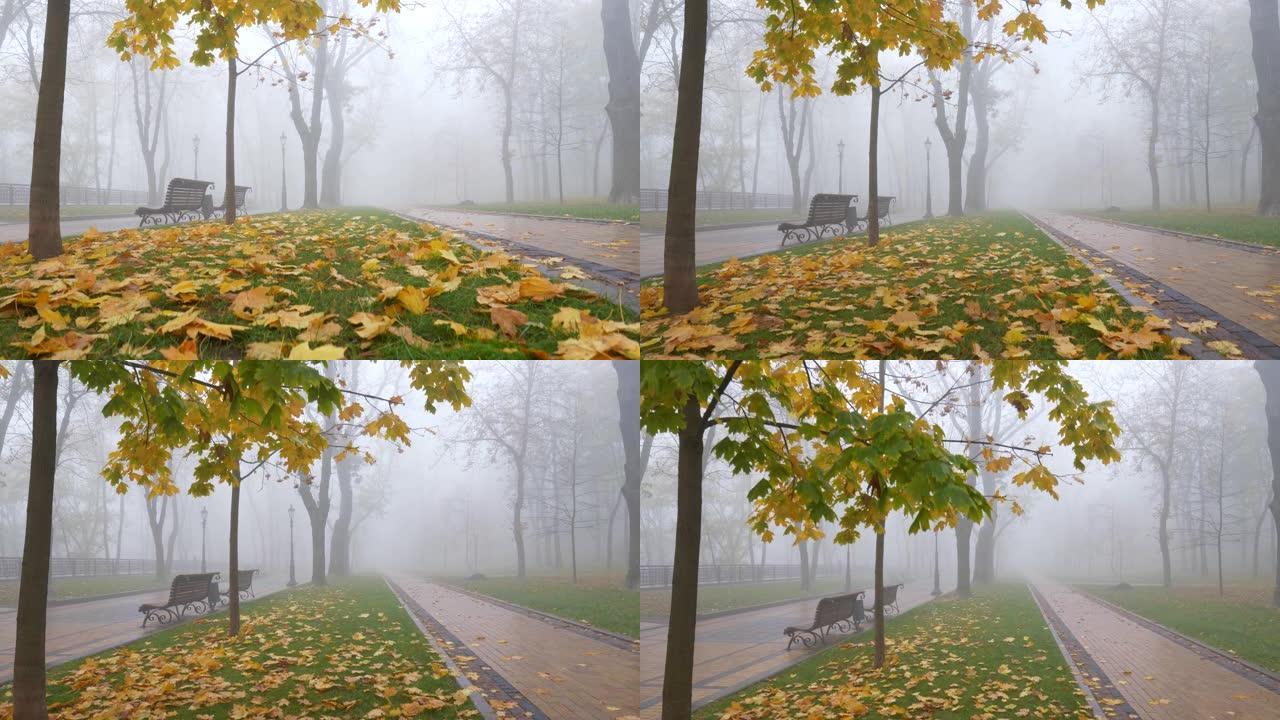早晨，在多雾的秋天公园里，照相机抬起落叶。两侧有两条带长椅的走道。UHD