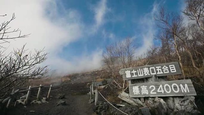 富士山森林大火后山坡上的树木