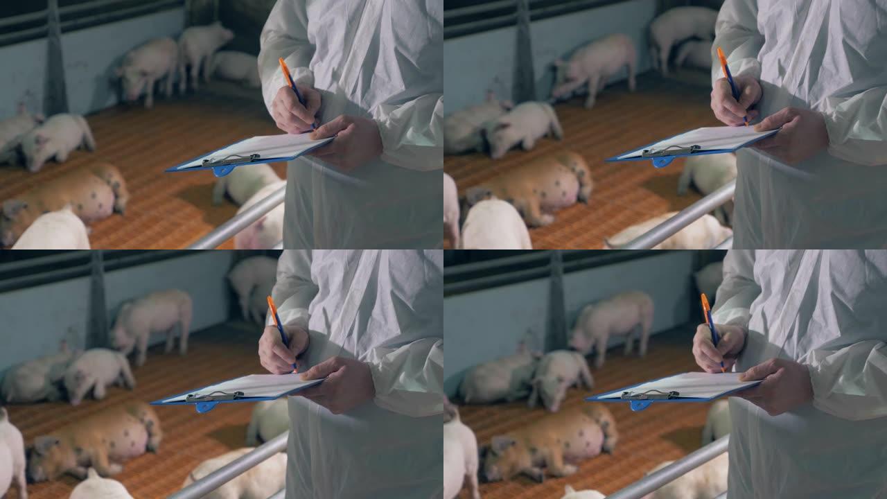 农业工人正在做猪的笔记