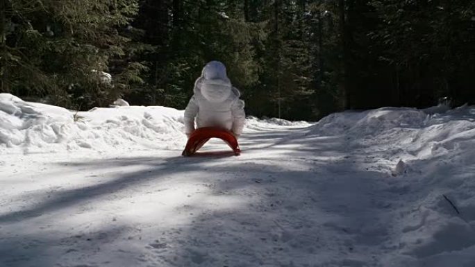 冬天森林里的小女孩雪橇