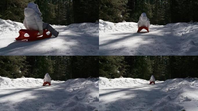 冬天森林里的小女孩雪橇