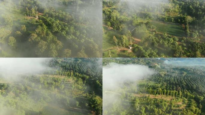 无人机实时飞行，飞越雾蒙蒙的风景。
