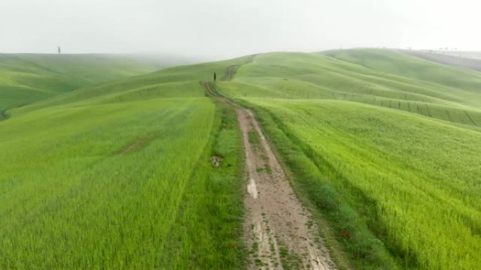 绿色田野中的乡间小路。电影无人机拍摄。意大利托斯卡纳