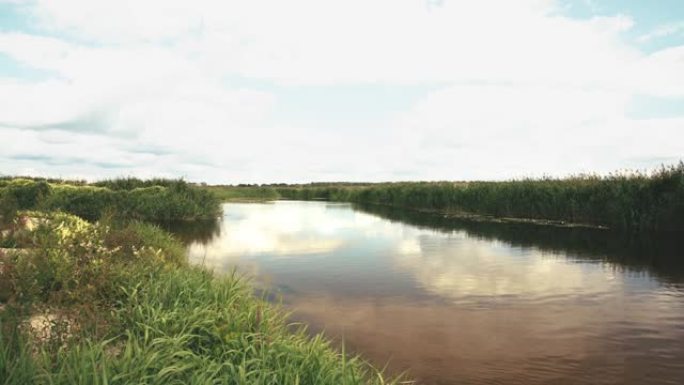 河边的夏日早晨