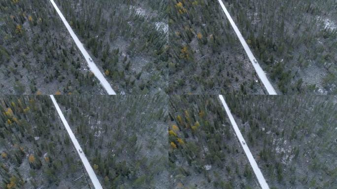 相机在芬兰泰加长青森林的土路上飞过汽车。空中射击，UHD