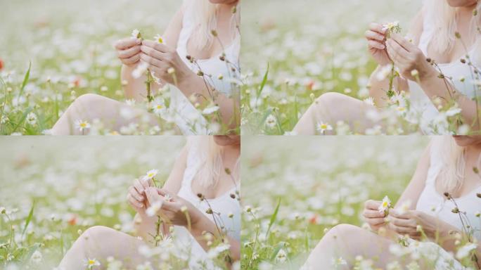 CU年轻女子在野花草地上制作菊花链