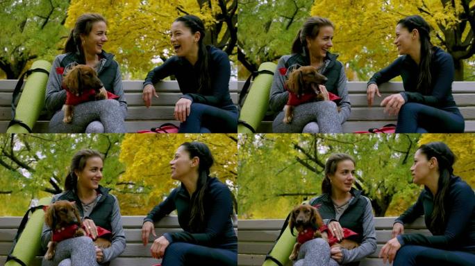 成年女性朋友在瑜伽后与狗一起坐在公园的长凳上