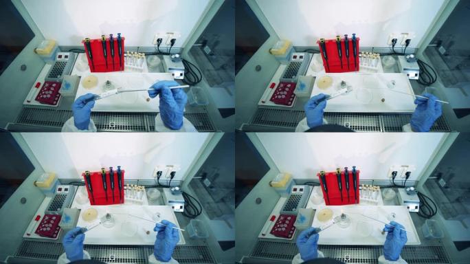 一位科学家在开发疫苗时使用实验室设备。冠状病毒，新型冠状病毒肺炎，2019-ncov药物研究概念。