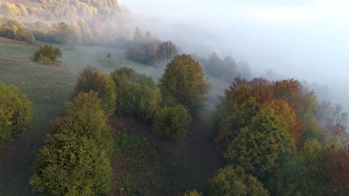 早上在乌克兰喀尔巴阡山脉飞越雾蒙蒙的山顶。山上的秋天树木和农场。空中射击，UHD