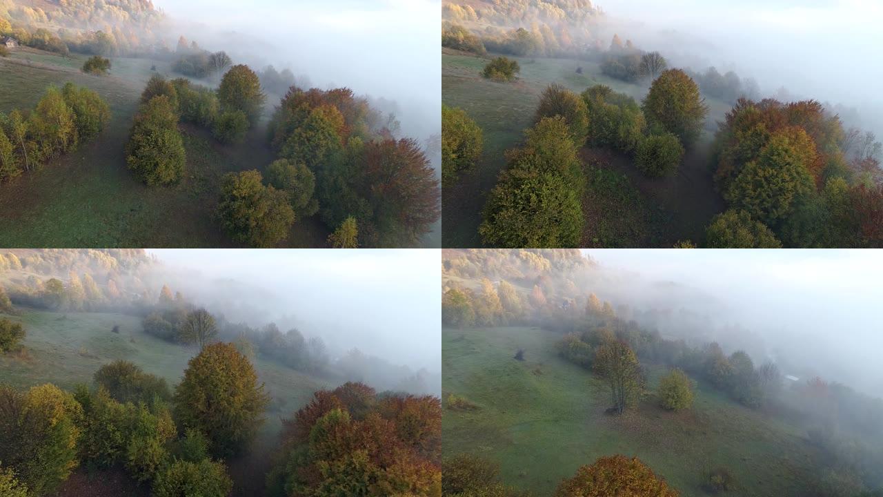 早上在乌克兰喀尔巴阡山脉飞越雾蒙蒙的山顶。山上的秋天树木和农场。空中射击，UHD