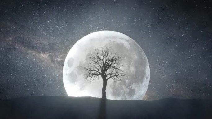 在满月和旋转的宇宙的背景下，发芽树的时间流逝
