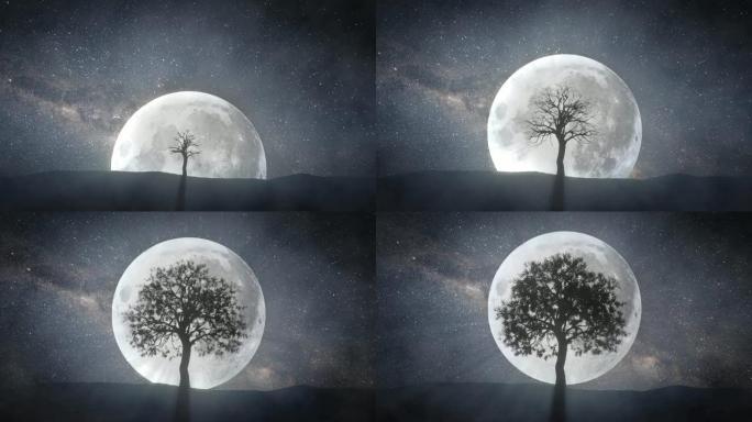 在满月和旋转的宇宙的背景下，发芽树的时间流逝