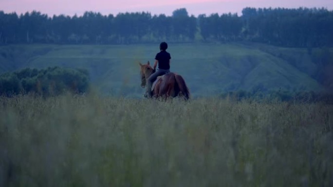 骑师女士在暮光之城骑着一匹棕色的马