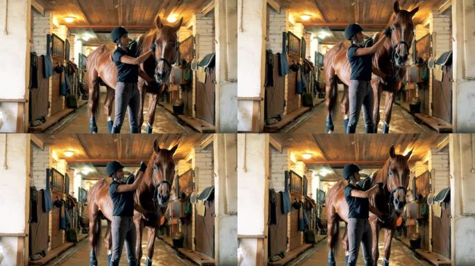 女骑师正在刷马顶视频素材人物护具女性骑手