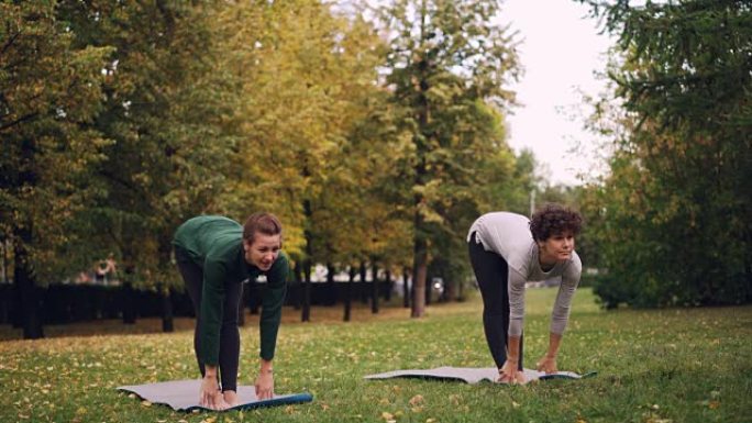 两个漂亮的女人在公园的垫子上做瑜伽，练习体式和呼吸新鲜空气。个人实践、专业教师和自然概念。
