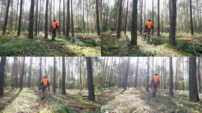 一个穿着制服的伐木工人在树林里散步。