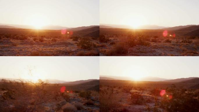 从移动车辆上看到的日落沙漠景观