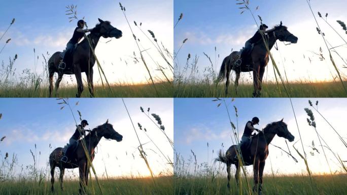 女人在田野里骑着马，底部视图。