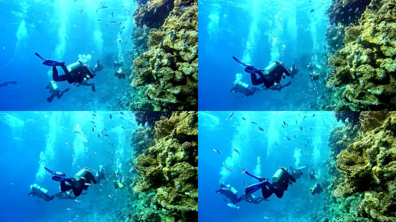 水下生命。在珊瑚礁附近潜水