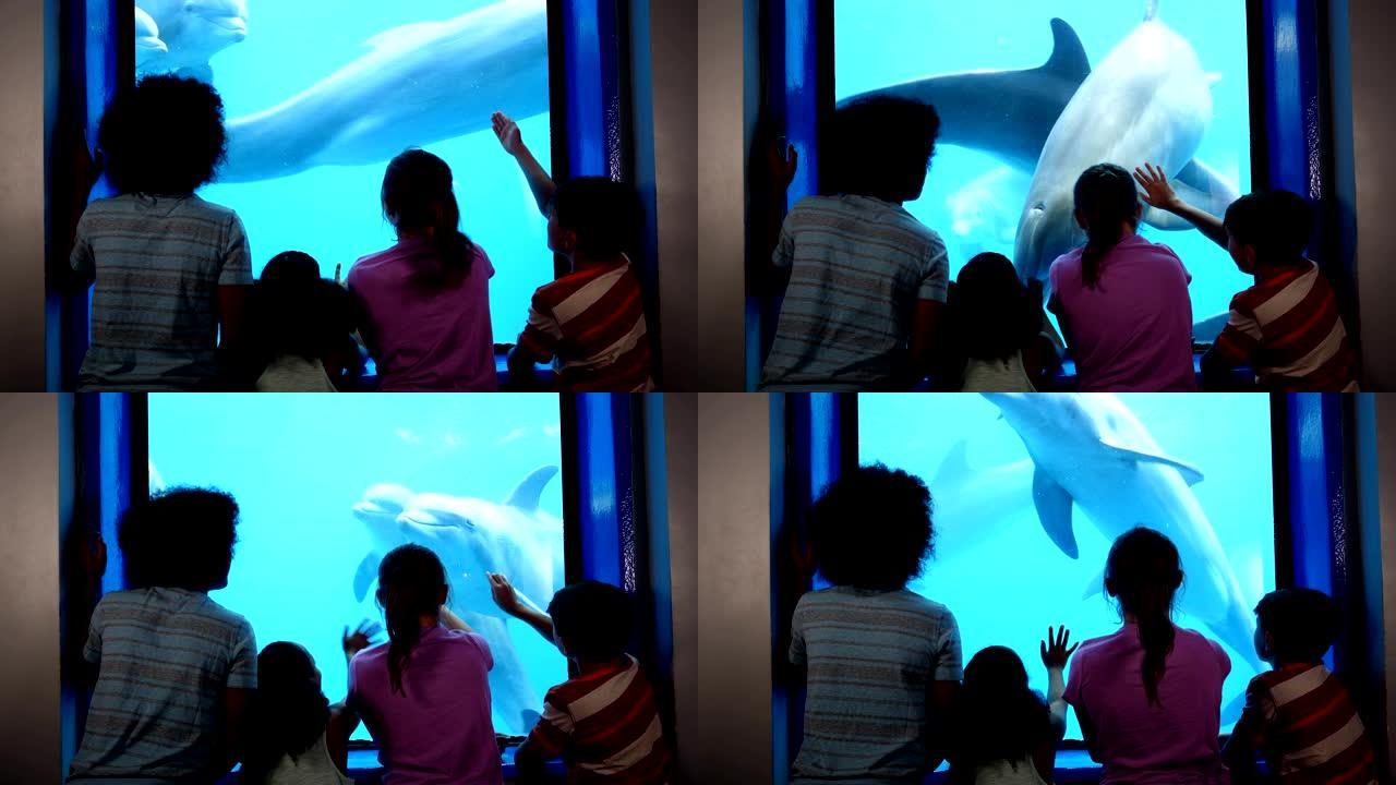 水族馆中的四个孩子在水下观看海豚