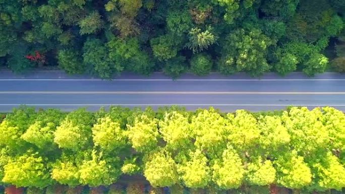 韩国秋天的道路韩国秋天的道路