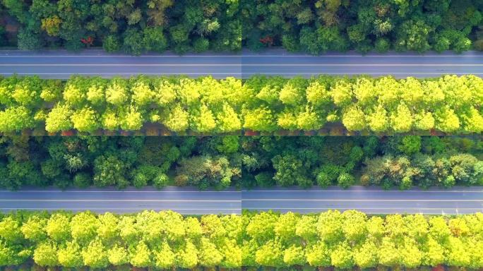 韩国秋天的道路韩国秋天的道路