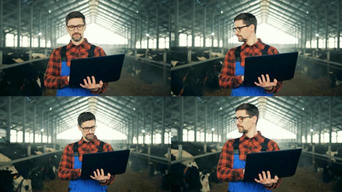 一个带着笔记本电脑的人走在牛棚里，特写镜头。