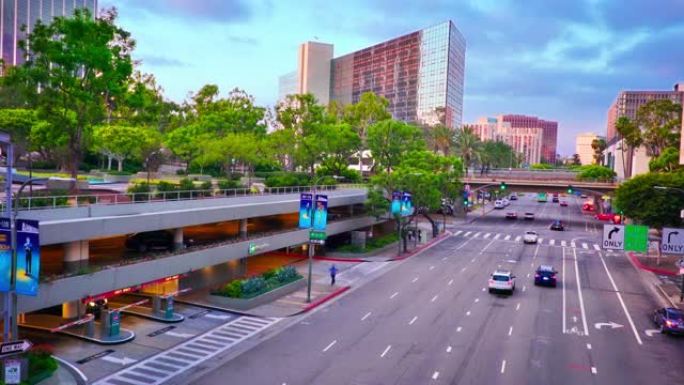 洛杉矶空荡荡的城市街道。树长在屋顶上。绿色的概念。